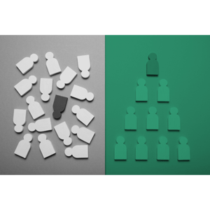 Section 1 The Challenge